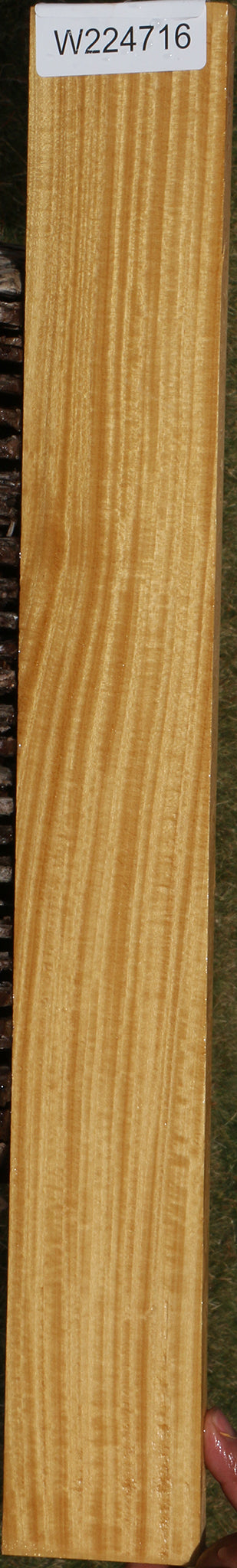 Figured Ceylon Satinwood Micro Lumber