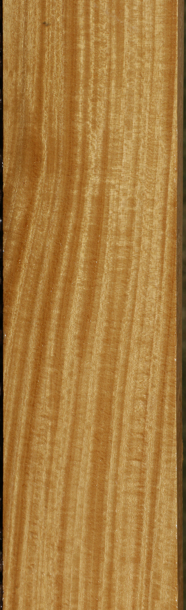 Figured Ceylon Satinwood Micro Lumber