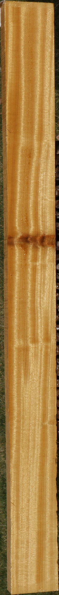 Figured Ceylon Satinwood Lumber