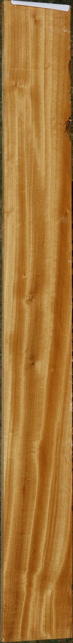 Ceylon Satinwood Micro Lumber