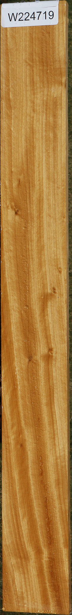 Ceylon Satinwood Micro Lumber