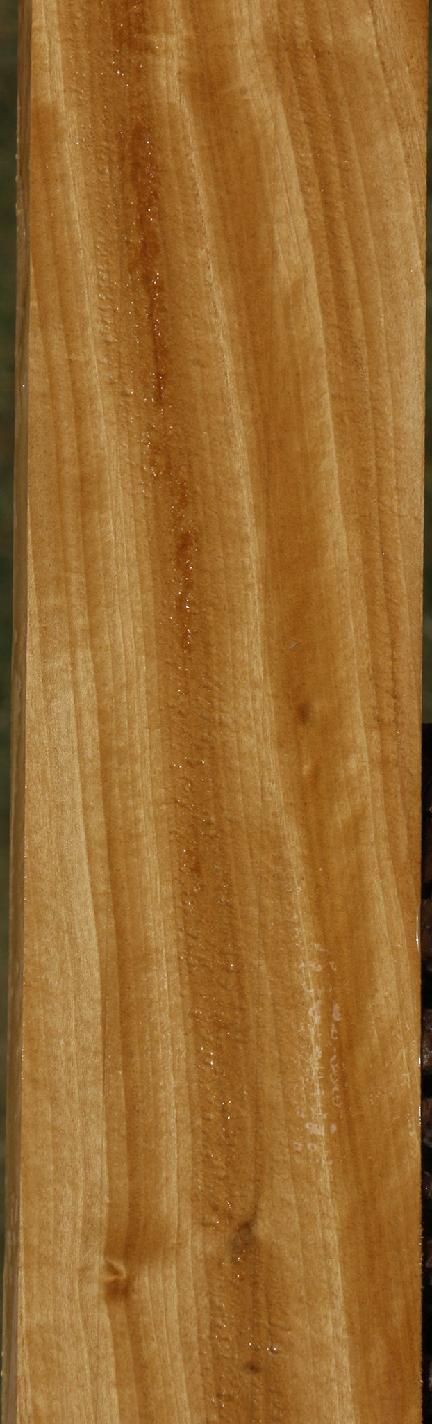 Ceylon Satinwood Micro Lumber