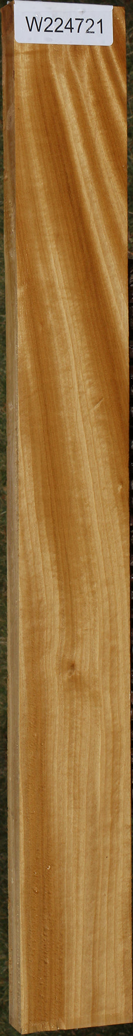 Figured Ceylon Satinwood Lumber