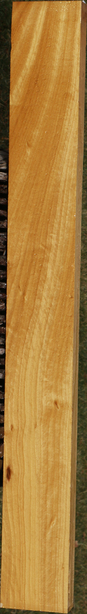 Figured Ceylon Satinwood Lumber