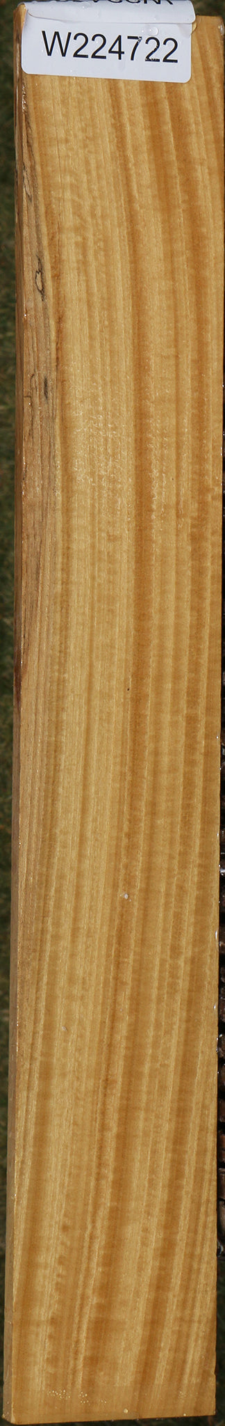 Extra Fancy Ceylon Satinwood Micro Lumber