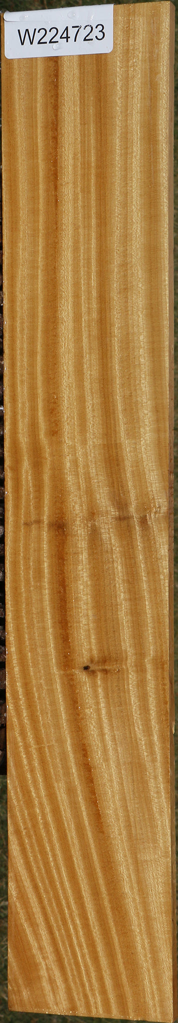 Figured Ceylon Satinwood Micro Lumber