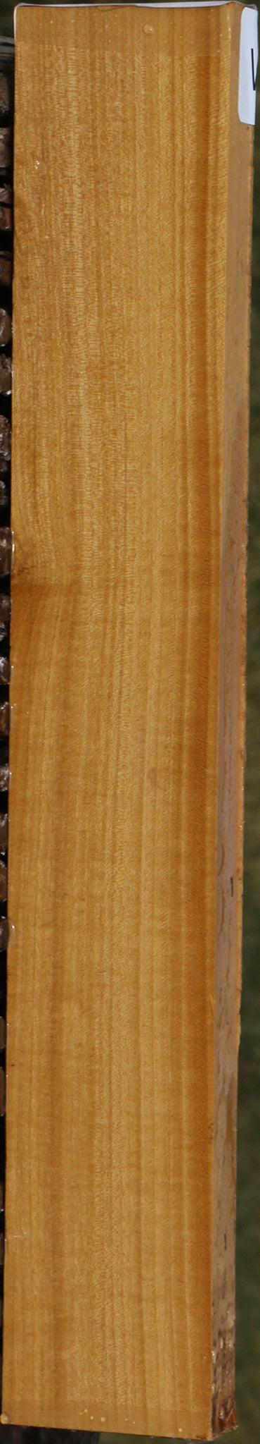 Figured Ceylon Satinwood Lumber