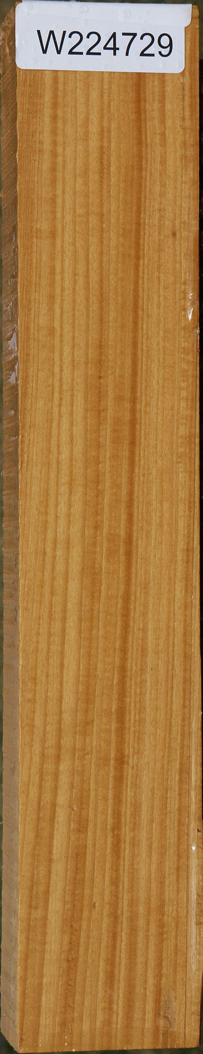 Figured Ceylon Satinwood Lumber