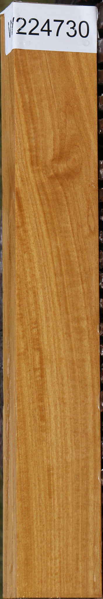 Ceylon Satinwood Lumber