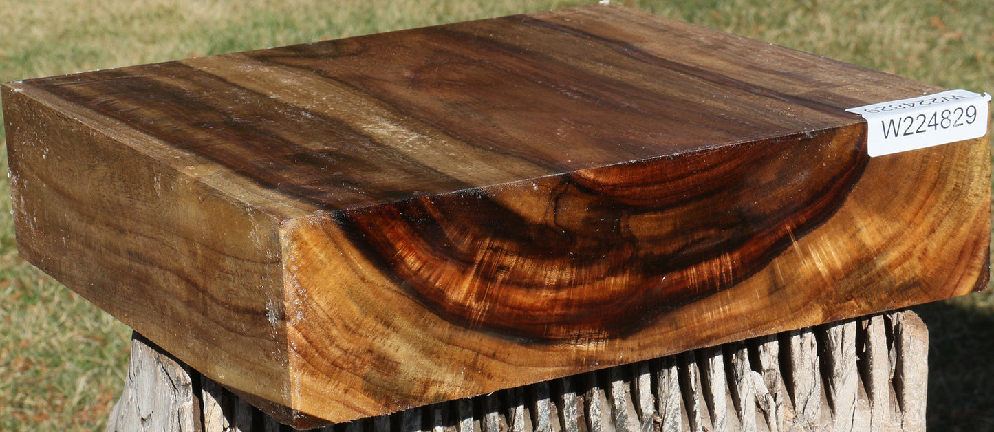 Extra Fancy East Indian Rosewood Bowl Blank