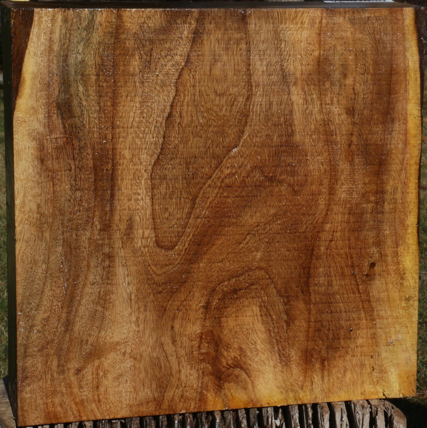 Extra Fancy East Indian Rosewood Bowl Blank