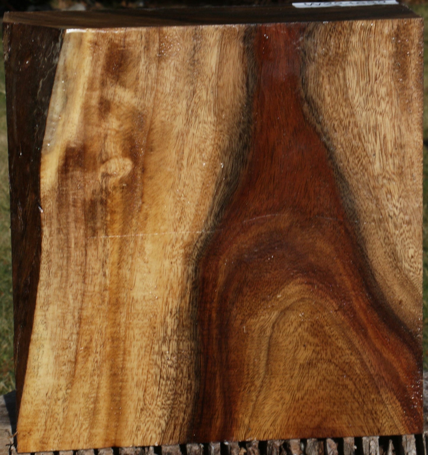 Figured East Indian Rosewood Bowl Blank