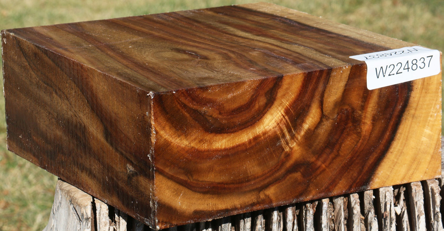 Extra Fancy East Indian Rosewood Bowl Blank