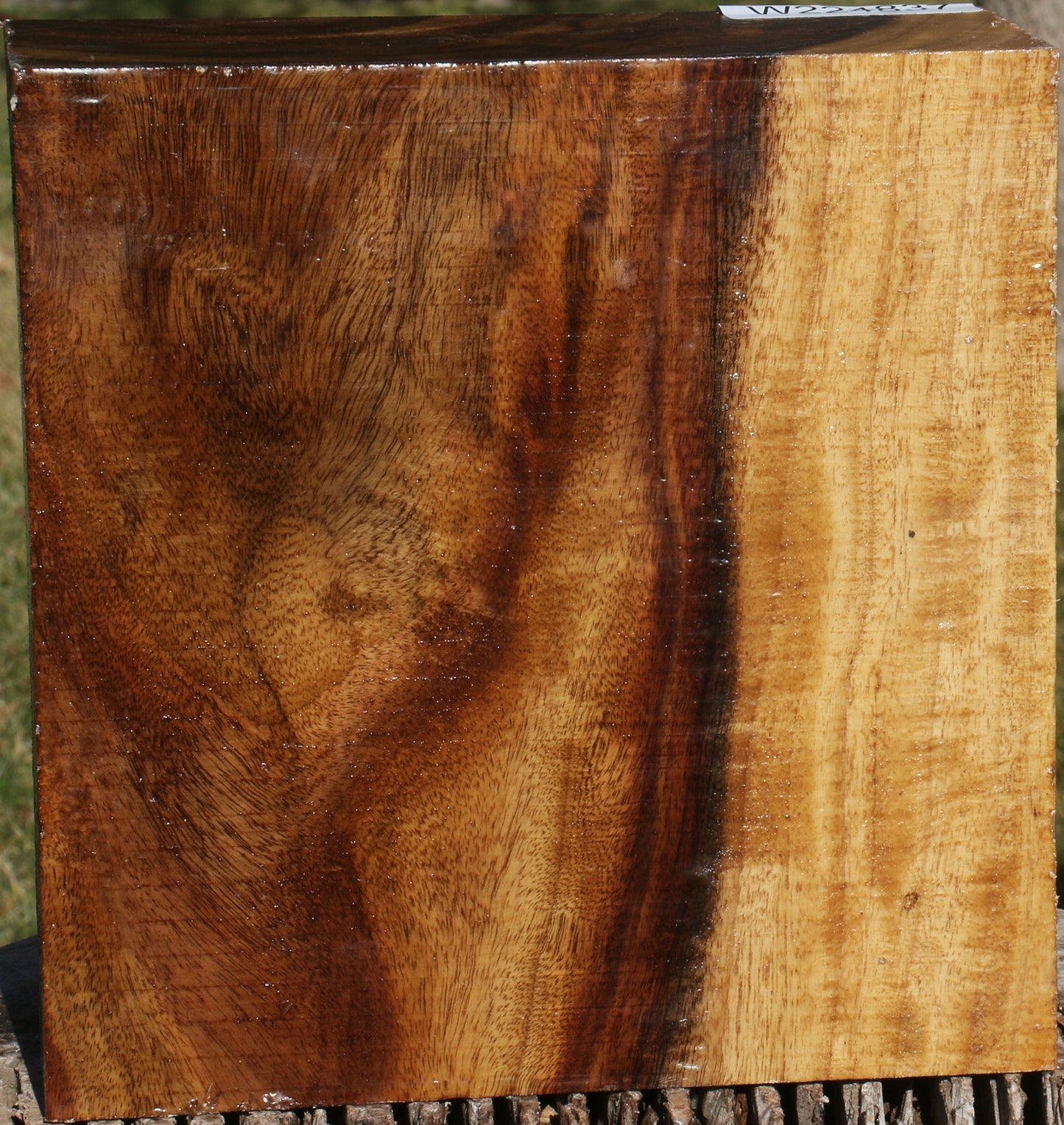 Extra Fancy East Indian Rosewood Bowl Blank