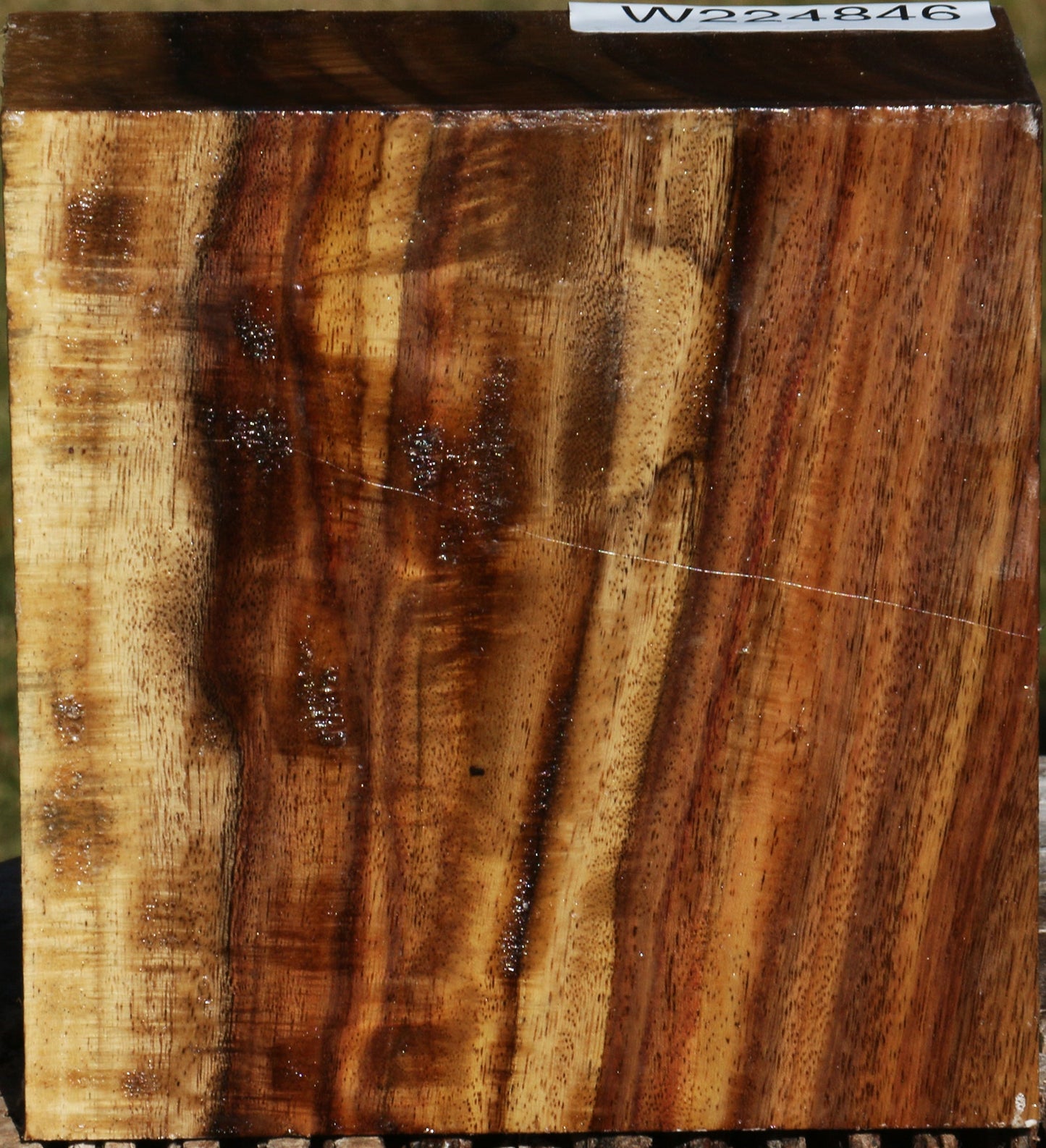 Extra Fancy East Indian Rosewood Bowl Blank