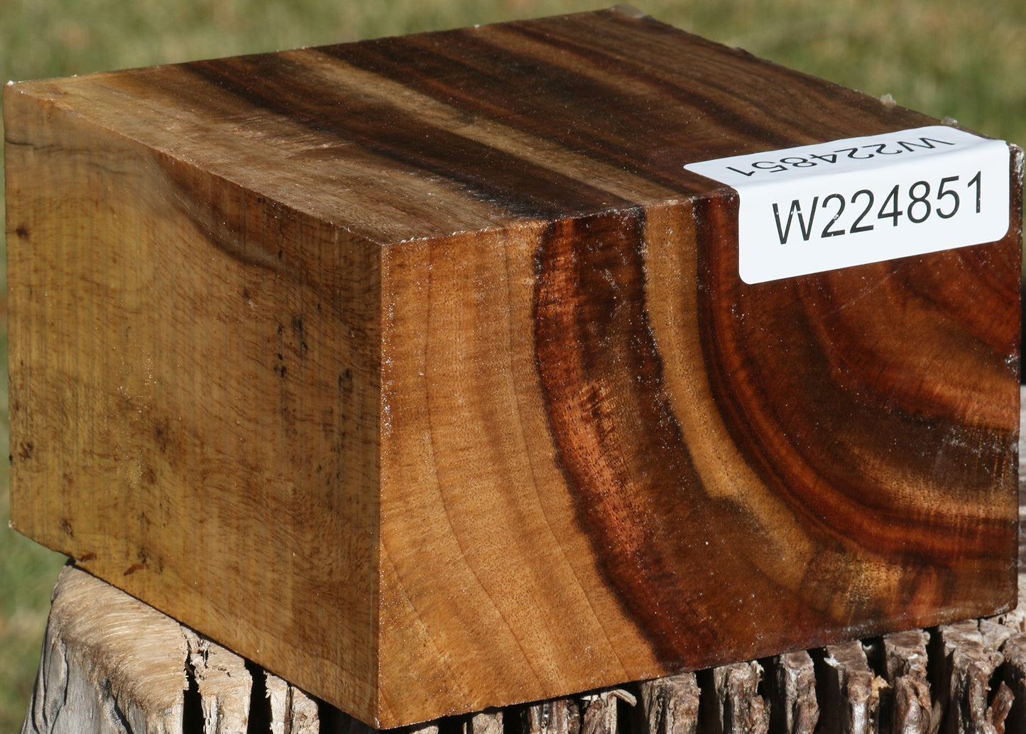 Extra Fancy East Indian Rosewood Bowl Blank