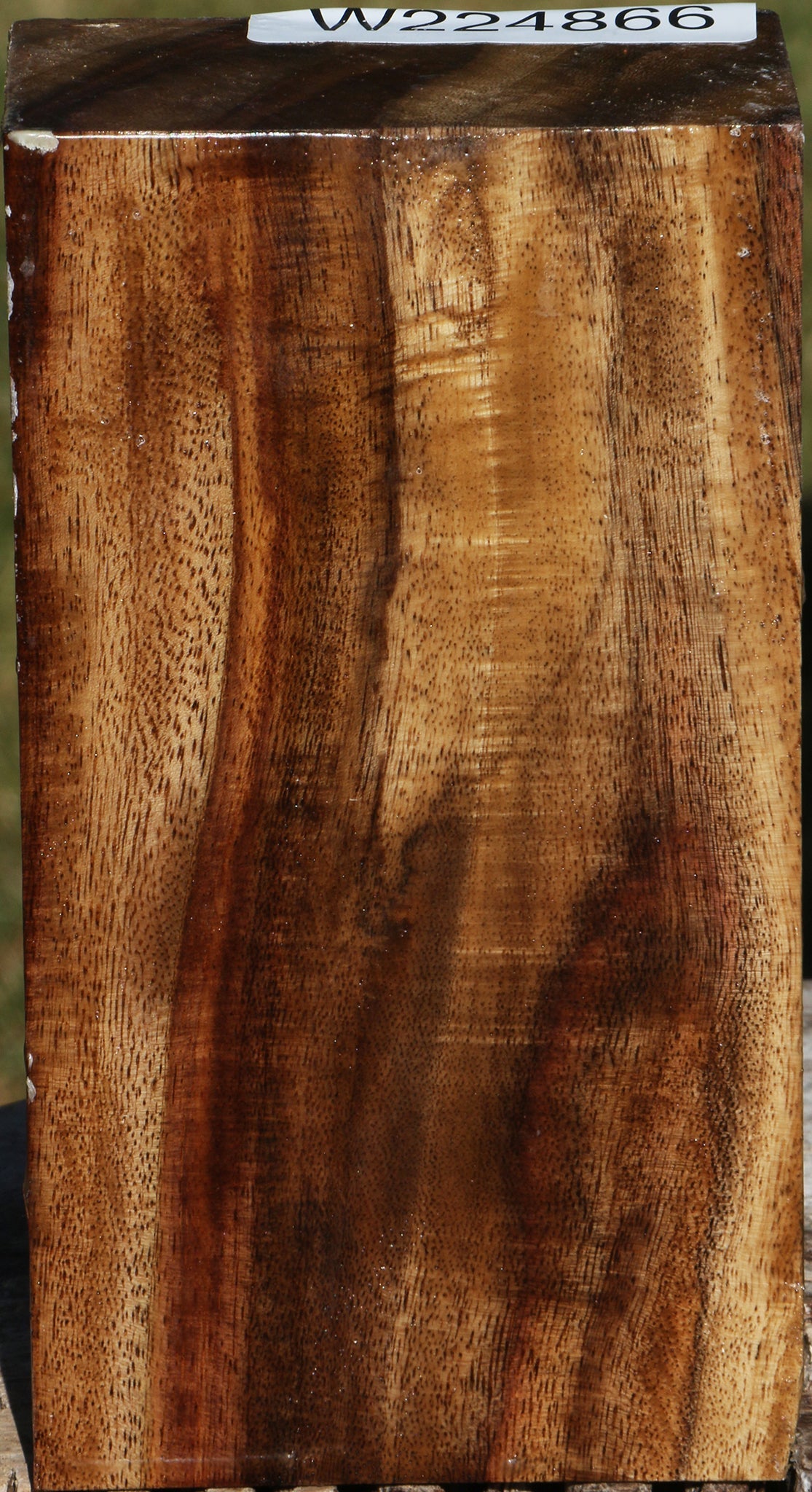 Extra Fancy East Indian Rosewood Turning Blank