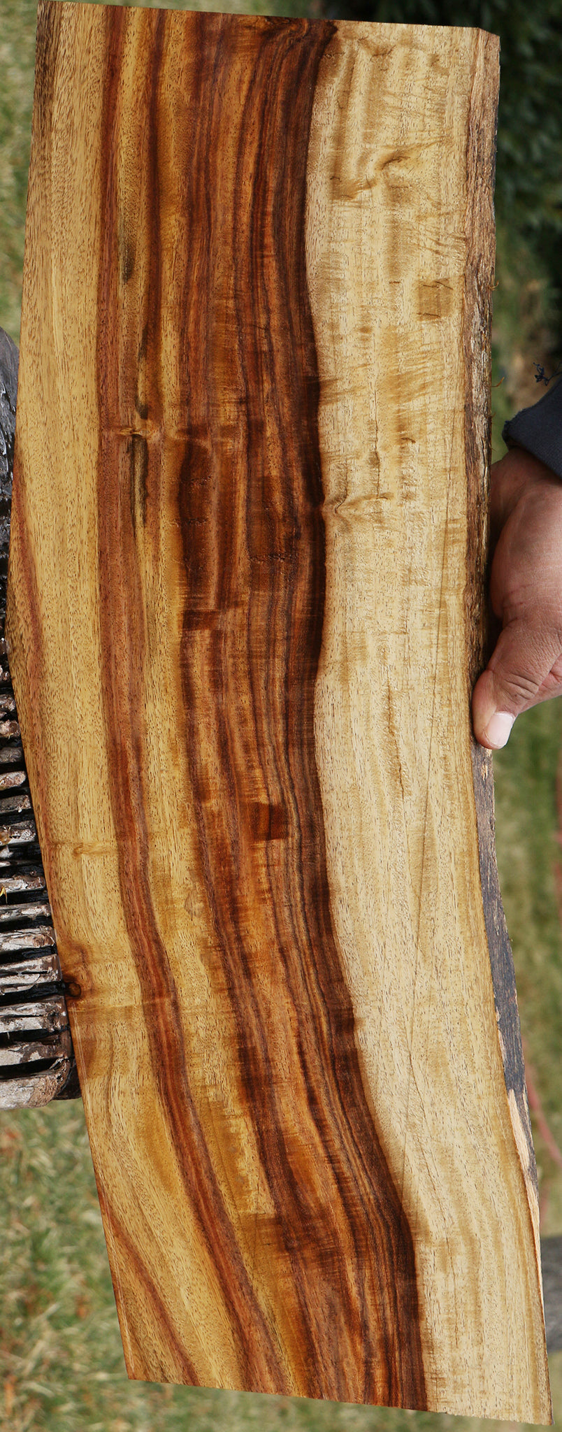 Extra Fancy East Indian Rosewood Live Edge Instrument Lumber