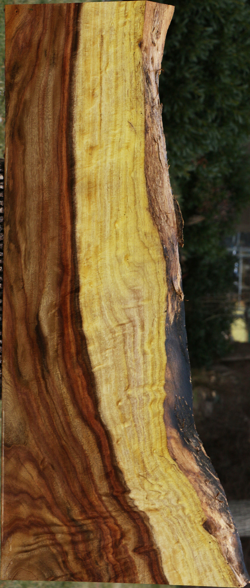 Extra Fancy East Indian Rosewood Live Edge Lumber