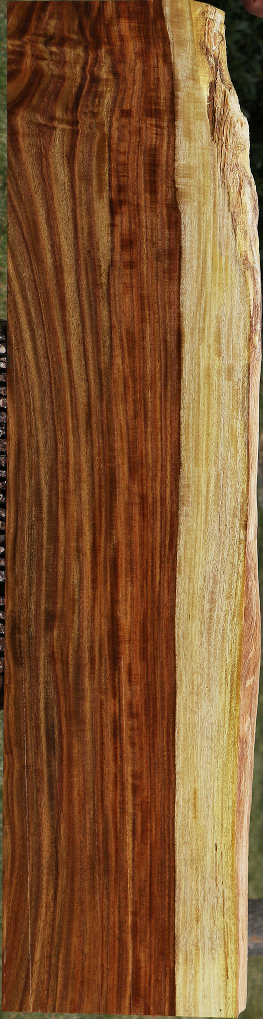 Extra Fancy Quilted East Indian Rosewood Live Edge Lumber