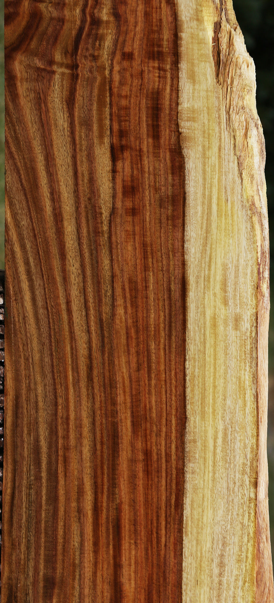 Extra Fancy Quilted East Indian Rosewood Live Edge Lumber