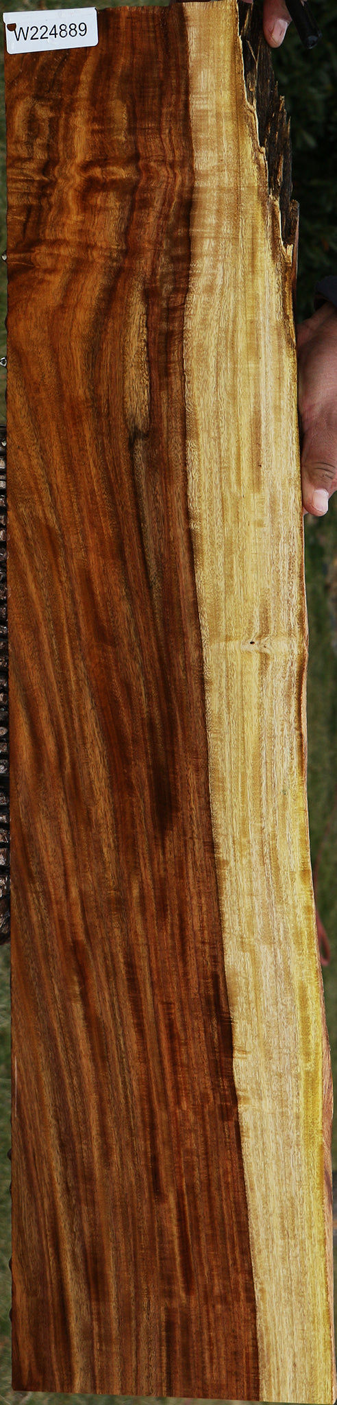 Extra Fancy East Indian Rosewood Live Edge Instrument Lumber