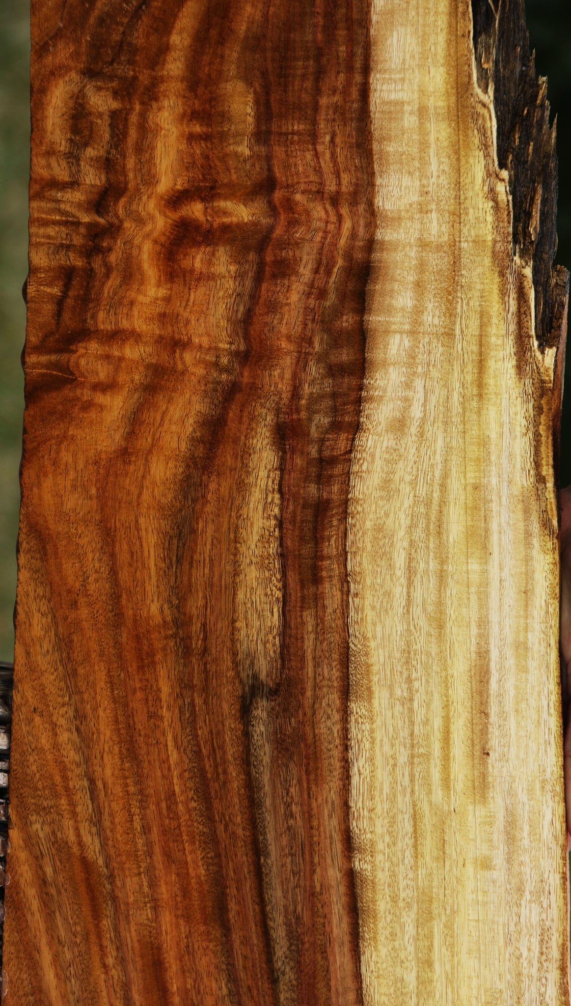 Extra Fancy East Indian Rosewood Live Edge Instrument Lumber