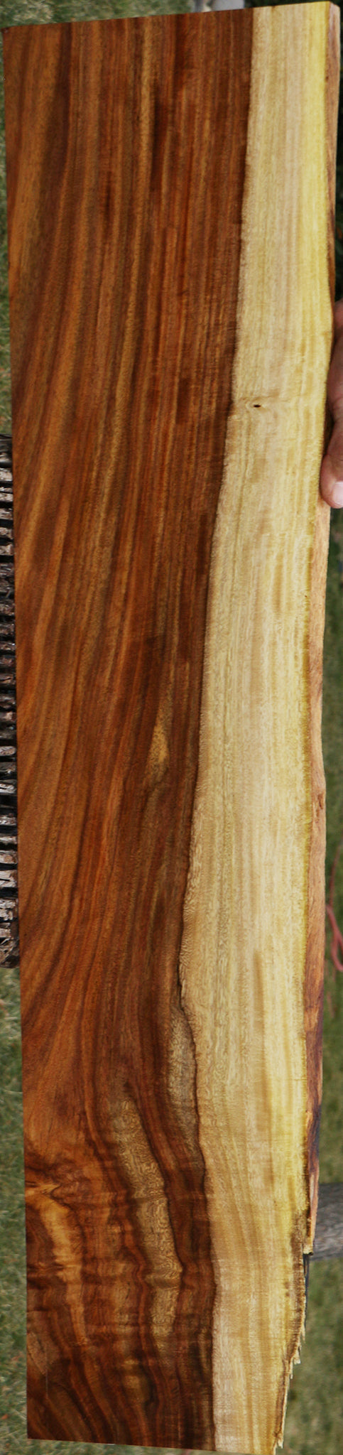 Extra Fancy East Indian Rosewood Live Edge Instrument Lumber