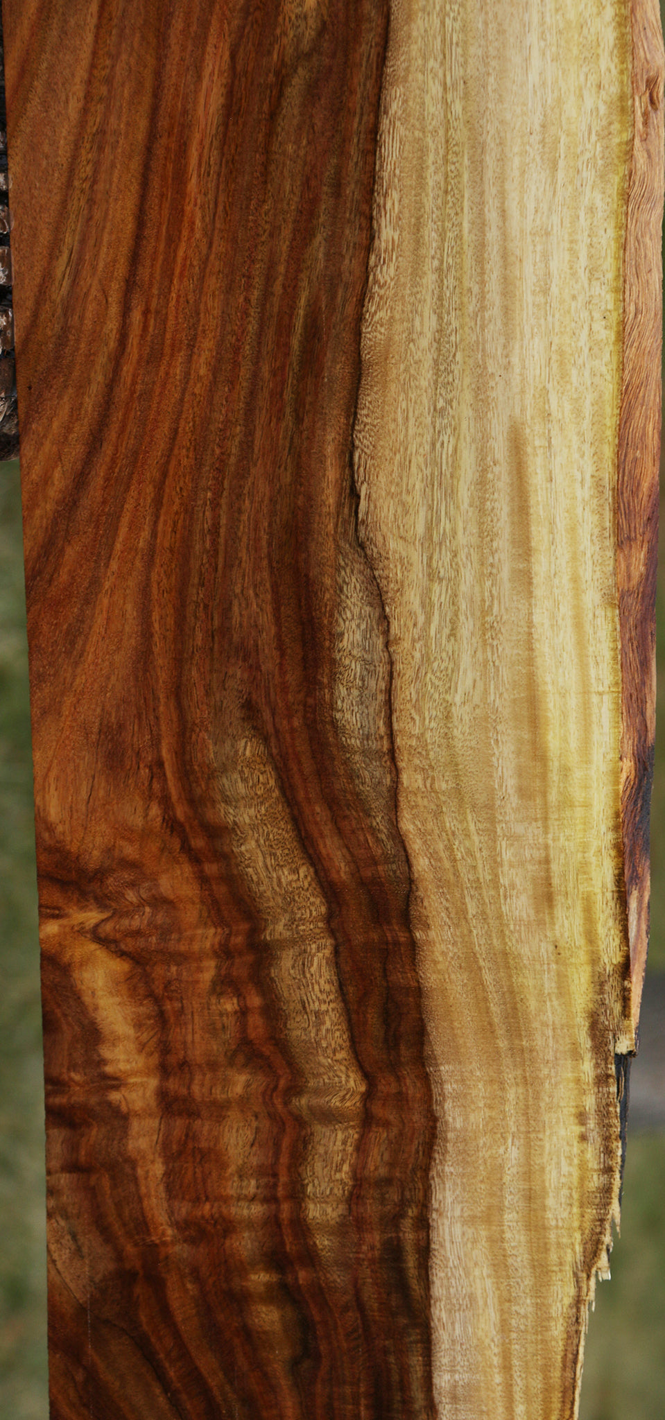 Extra Fancy East Indian Rosewood Live Edge Instrument Lumber