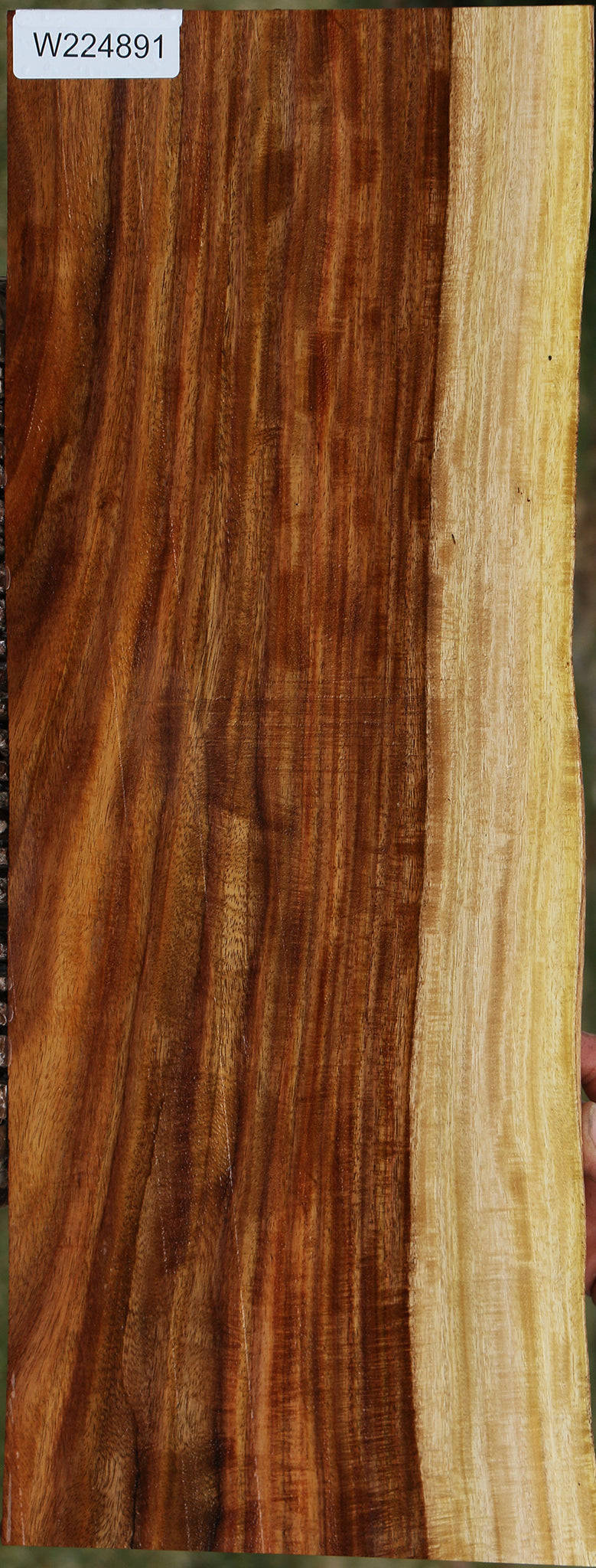 Extra Fancy East Indian Rosewood Live Edge Instrument Lumber