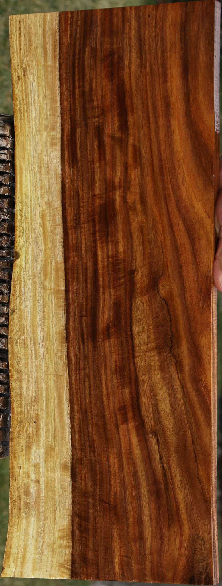 Extra Fancy East Indian Rosewood Live Edge Instrument Lumber