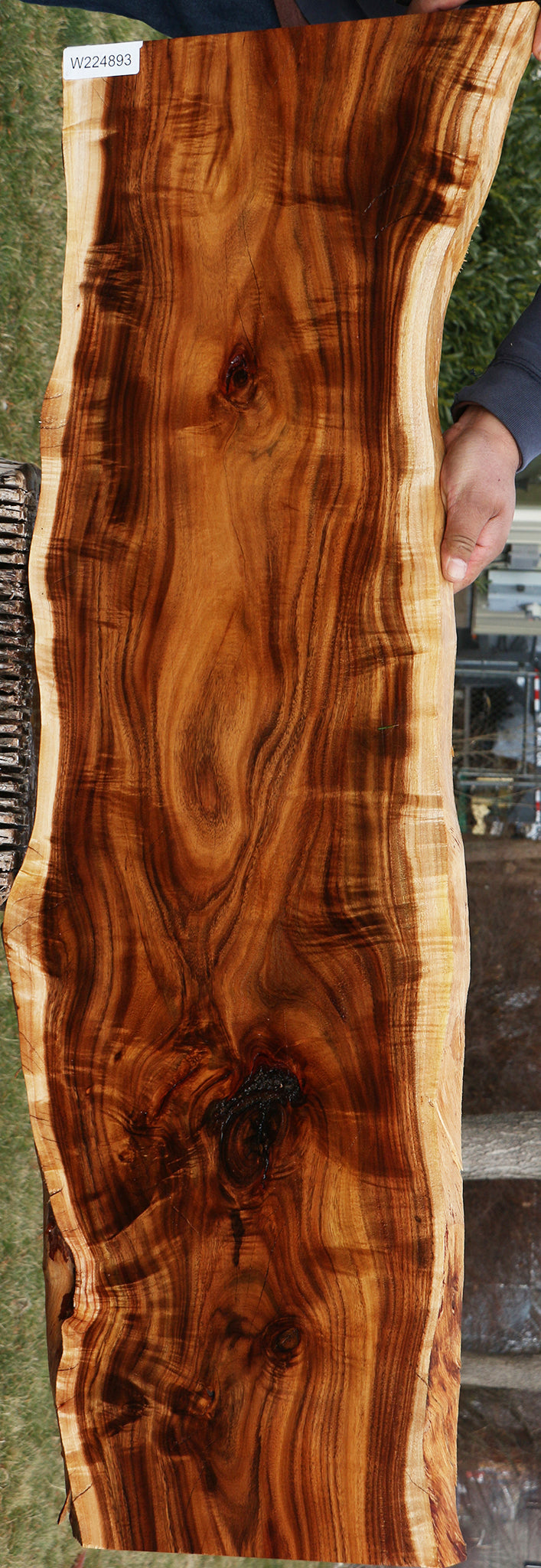 Extra Fancy Rustic East Indian Rosewood Live Edge Lumber