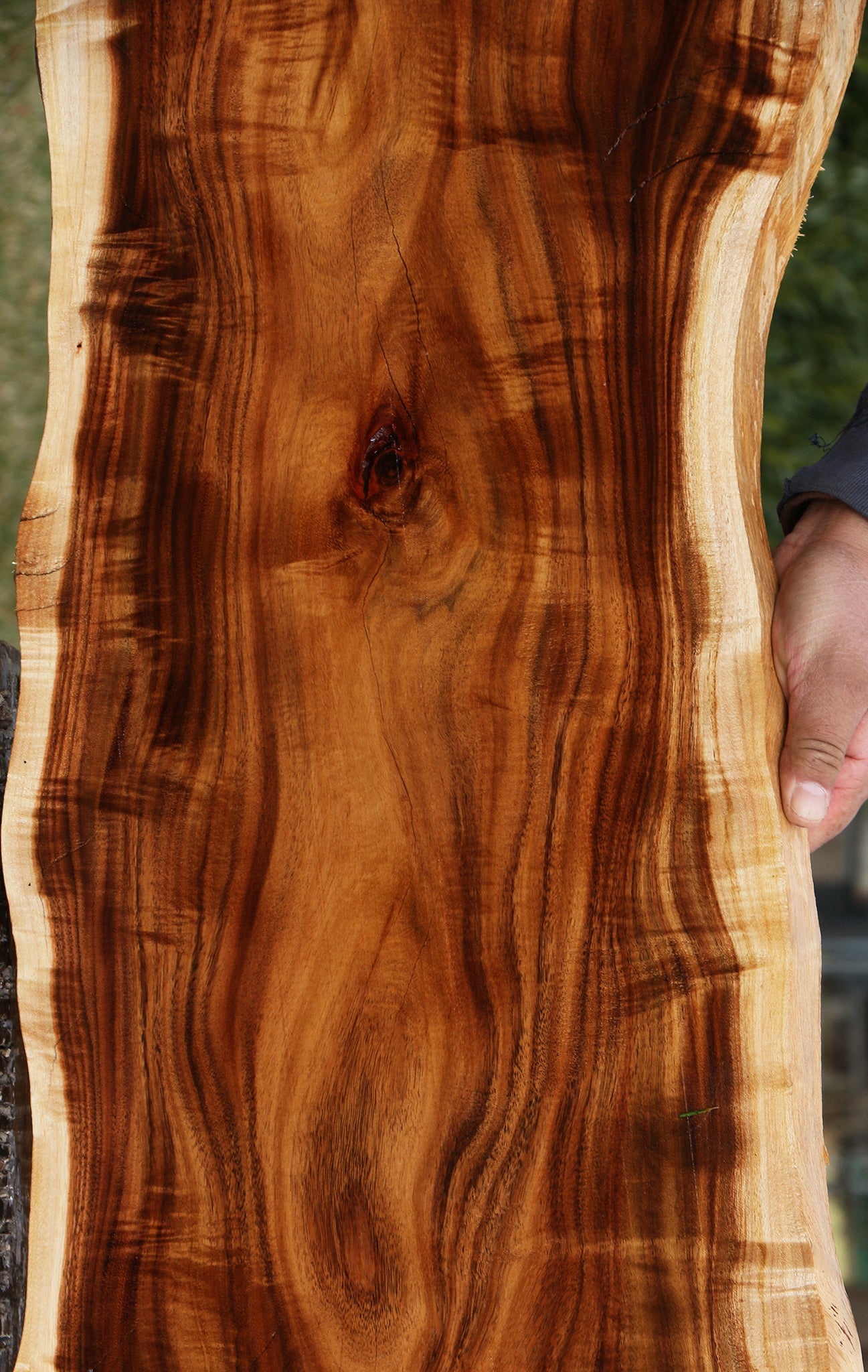 Extra Fancy Rustic East Indian Rosewood Live Edge Lumber