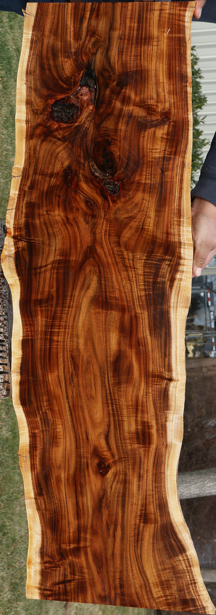 Extra Fancy Rustic East Indian Rosewood Live Edge Lumber