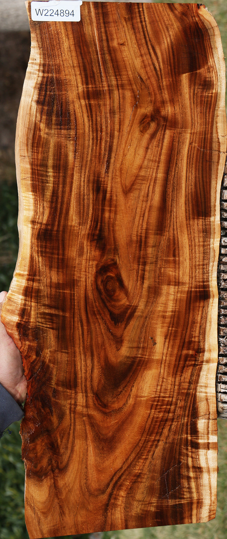 Extra Fancy East Indian Rosewood Live Edge Lumber