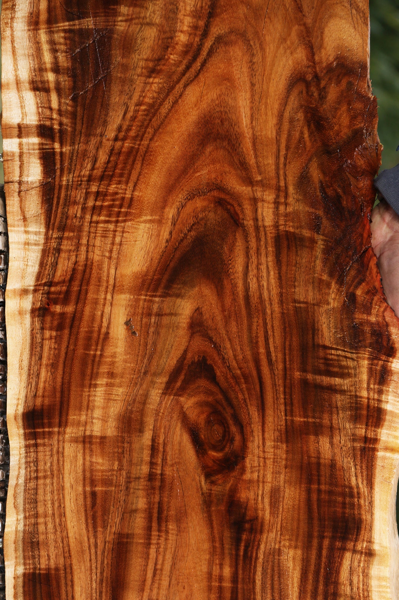 Extra Fancy East Indian Rosewood Live Edge Lumber