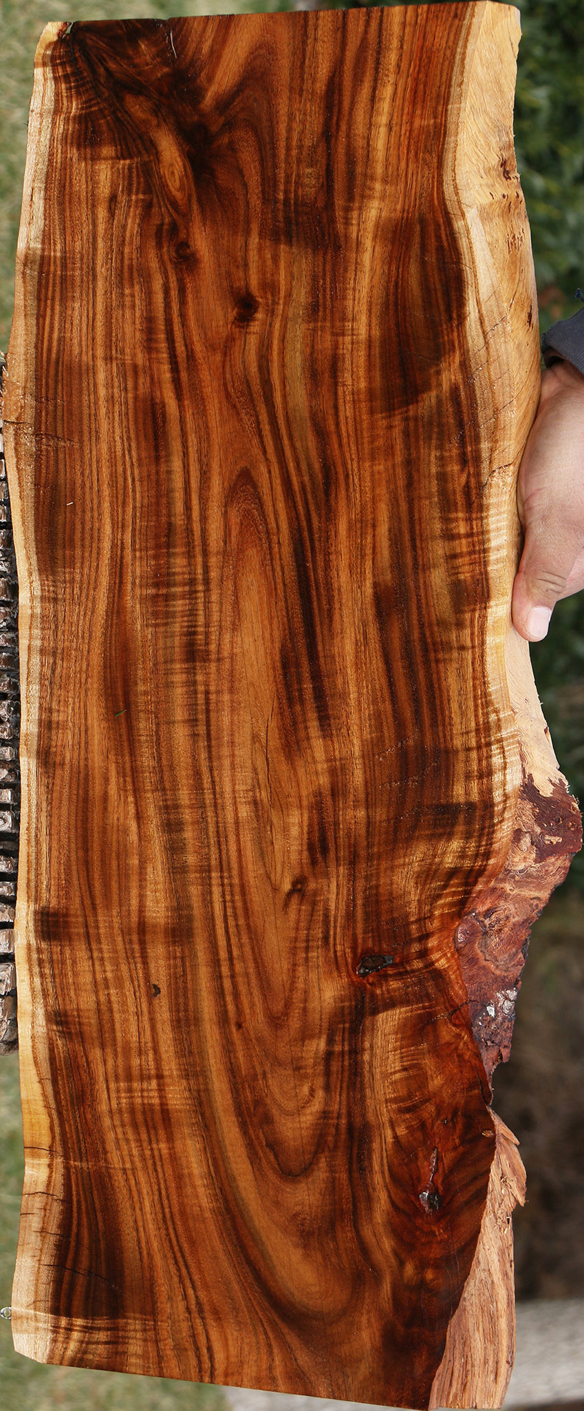 Extra Fancy East Indian Rosewood Live Edge Lumber