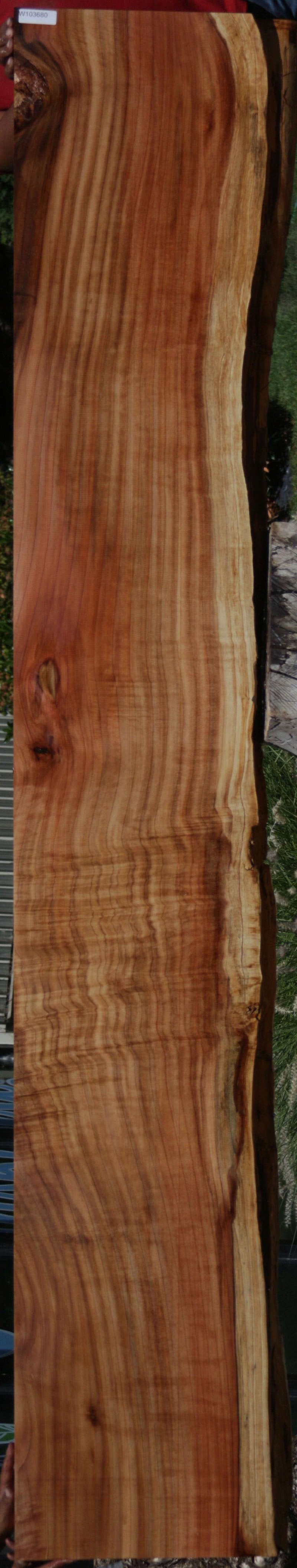 Redwood Slab