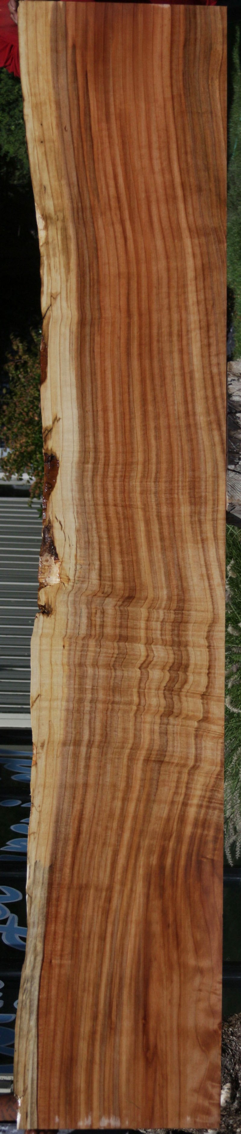 Redwood Slab