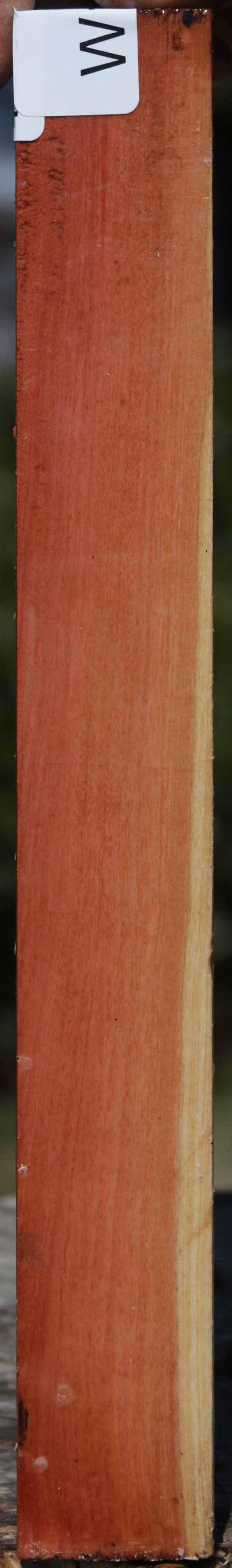 Pink Ivory Turning Square