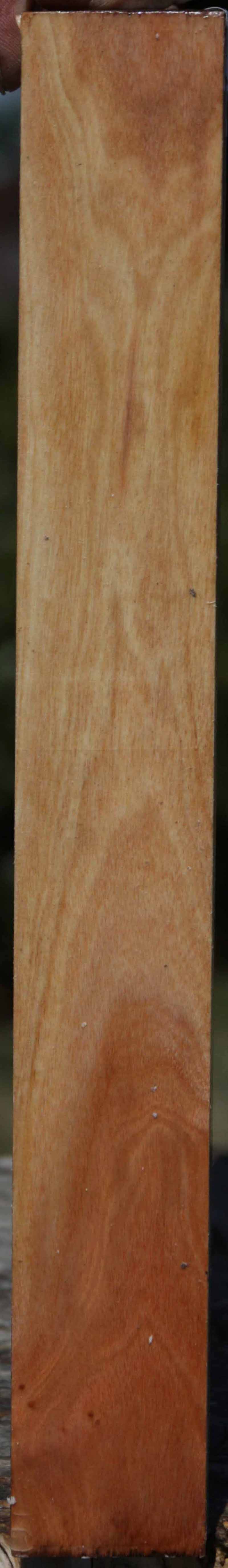 Pink Ivory Turning Square