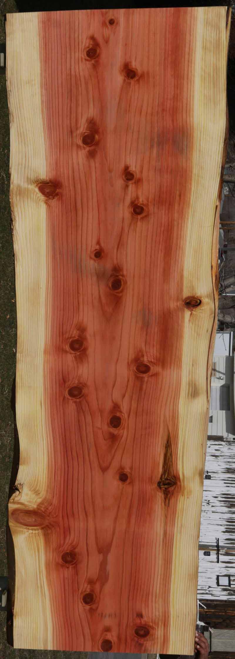 Sequoia Slab