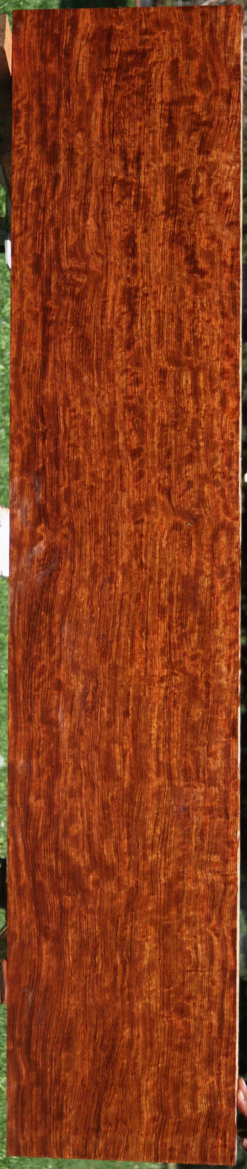 Bubinga Figured African wood veneer 44