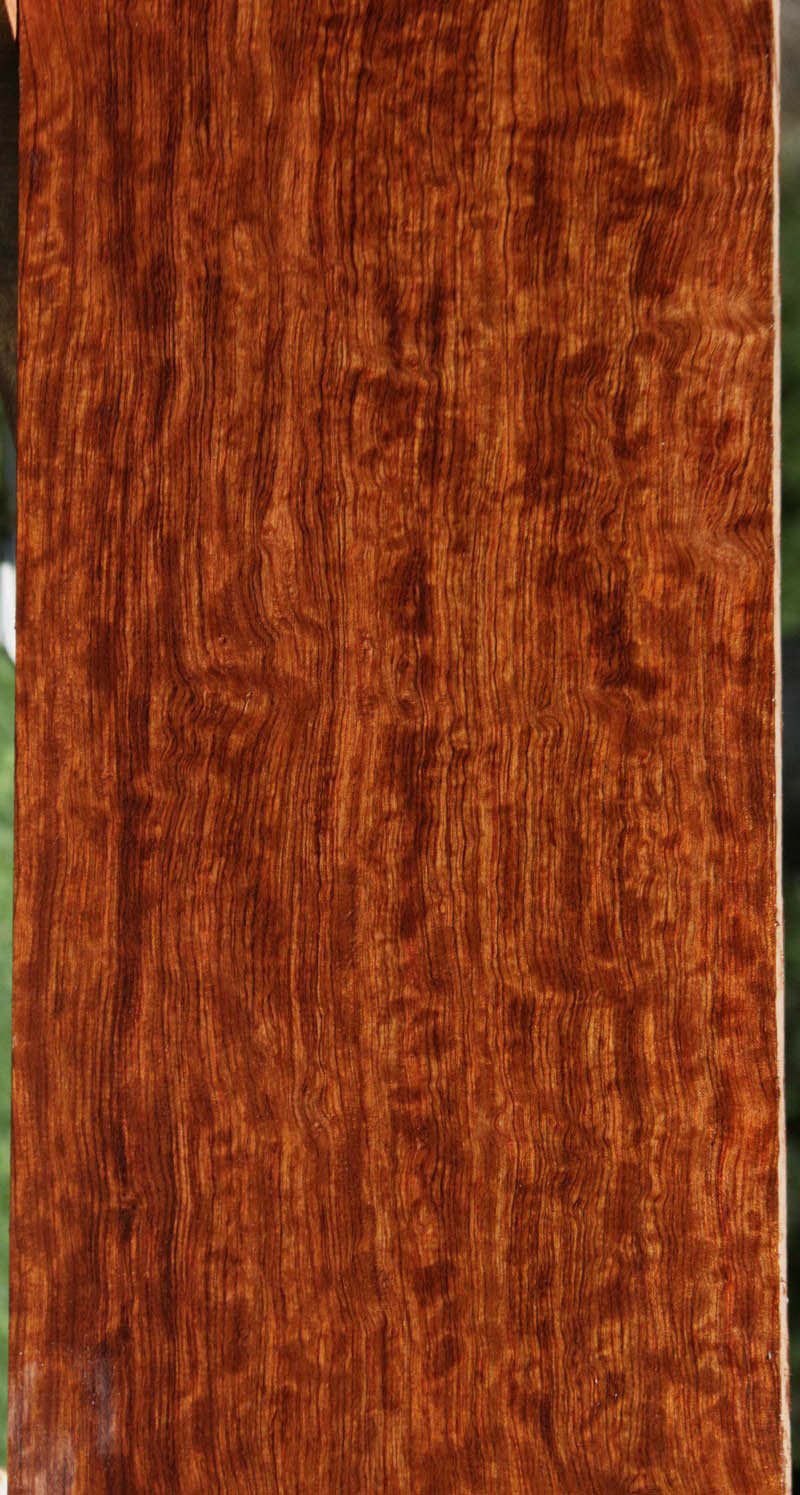 Figured Bubinga Lumber – Cook Woods