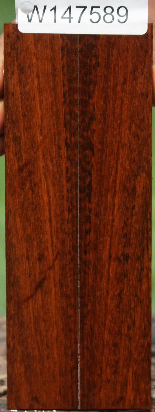 Exhibition Snakewood Knife Scales