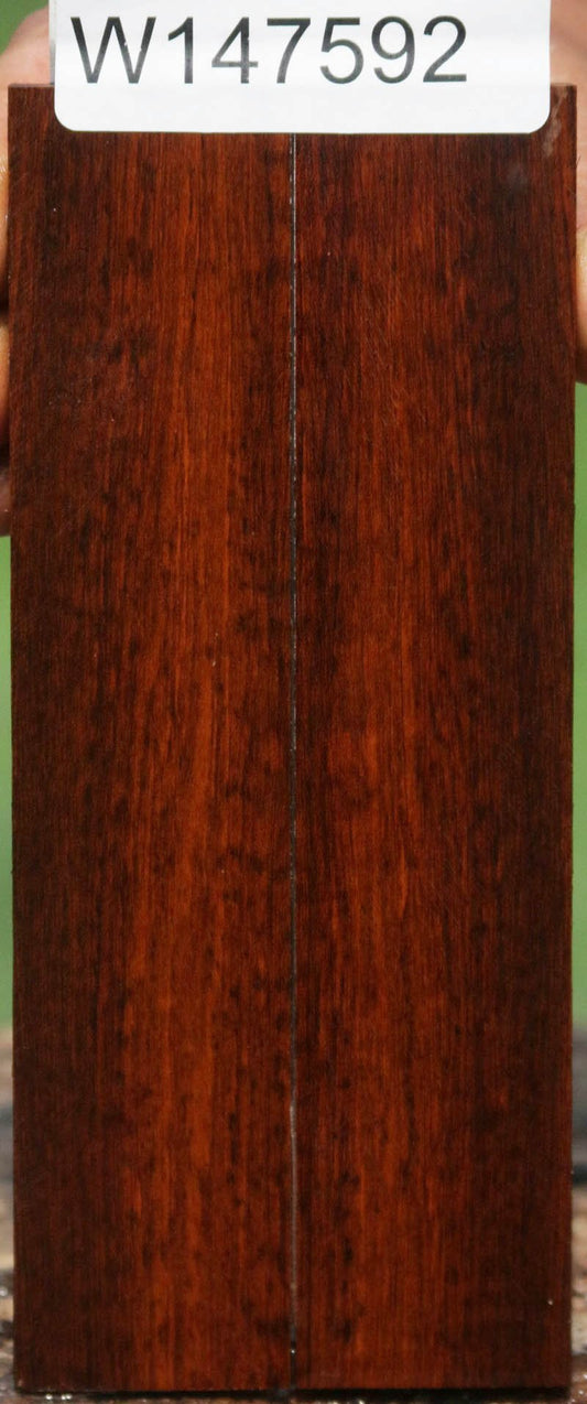 Exhibition Snakewood Knife Scales