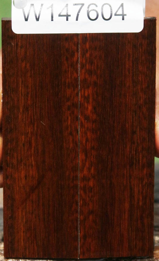 Exhibition Snakewood Knife Scales