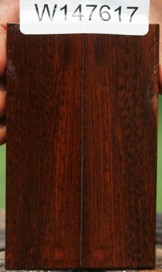 Exhibition Snakewood Knife Scales