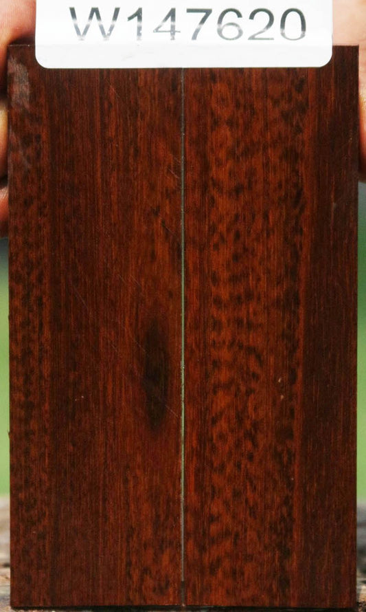 Exhibition Snakewood Knife Scales