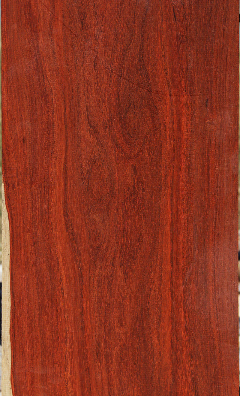 African padauk deals